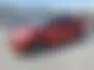 Vehicle Image- 2010 Toyota Prius