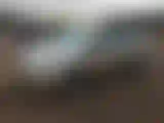 Vehicle Image- 2010 Toyota Prius