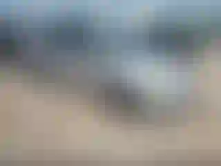 Vehicle Image- 2010 Toyota Prius