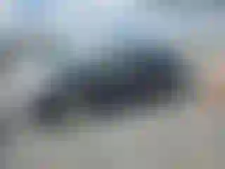 Vehicle Image- 2011 Toyota Prius