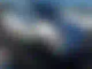 Vehicle Image- 2011 Toyota Prius