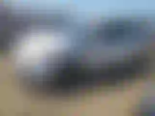 Vehicle Image- 2012 Toyota Prius