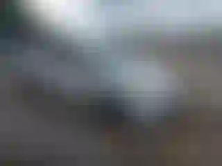 Vehicle Image- 2013 Toyota Prius