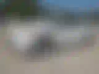 Vehicle Image- 2014 Toyota Prius