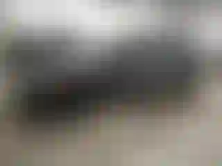 Vehicle Image- 2014 Toyota Prius