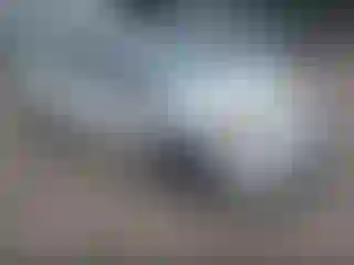 Vehicle Image- 2014 Toyota Prius