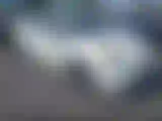 Vehicle Image- 2014 Toyota Prius