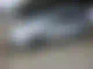Vehicle Image- 2014 Toyota Prius
