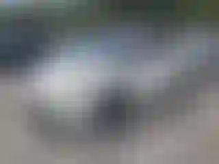 Vehicle Image- 2015 Toyota Prius