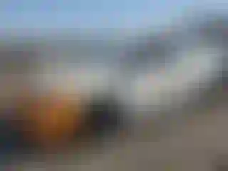 Vehicle Image- 2015 Toyota Prius