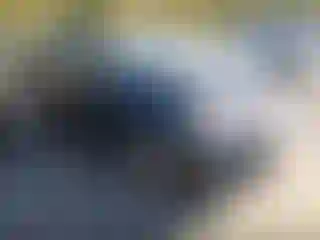 Vehicle Image- 2010 Toyota Prius