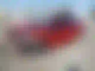 Vehicle Image- 2010 Toyota Prius