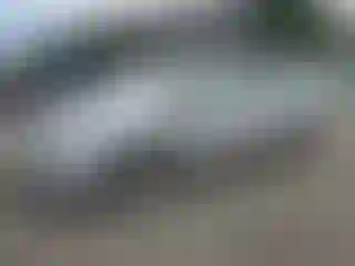Vehicle Image- 2010 Toyota Prius