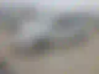 Vehicle Image- 2010 Toyota Prius