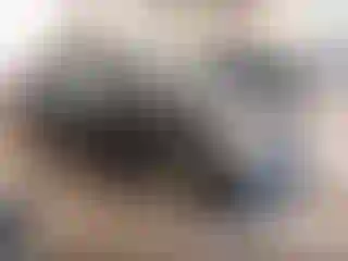 Vehicle Image- 2010 Toyota Prius