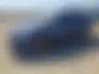 Vehicle Image- 2010 Toyota Prius
