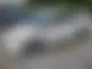 Vehicle Image- 2011 Toyota Prius