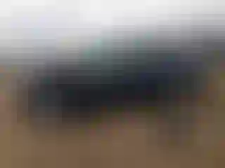 Vehicle Image- 2011 Toyota Prius