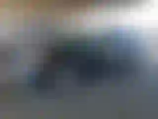 Vehicle Image- 2013 Toyota Prius