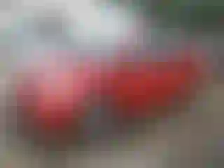 Vehicle Image- 2013 Toyota Prius