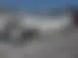 Vehicle Image- 2015 Toyota Prius