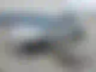 Vehicle Image- 2015 Toyota Prius