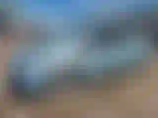 Vehicle Image- 2015 Toyota Prius