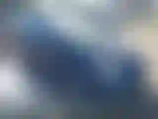 Vehicle Image- 2015 Toyota Prius