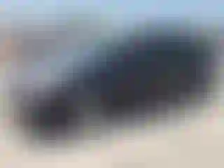 Vehicle Image- 2010 Toyota Prius