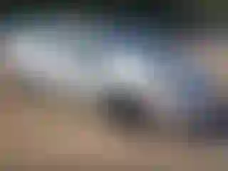 Vehicle Image- 2010 Toyota Prius