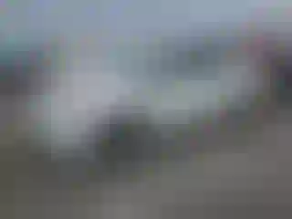Vehicle Image- 2010 Toyota Prius