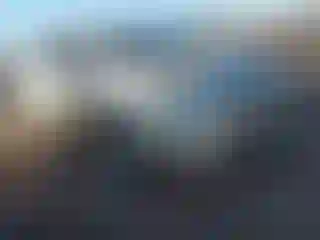 Vehicle Image- 2010 Toyota Prius
