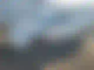 Vehicle Image- 2010 Toyota Prius