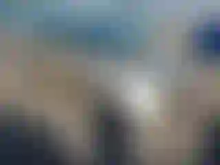 Vehicle Image- 2011 Toyota Prius