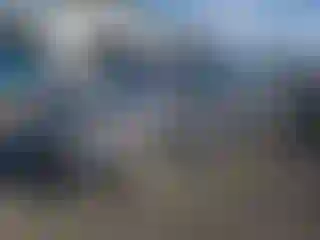 Vehicle Image- 2011 Toyota Prius