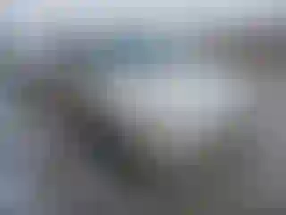 Vehicle Image- 2011 Toyota Prius