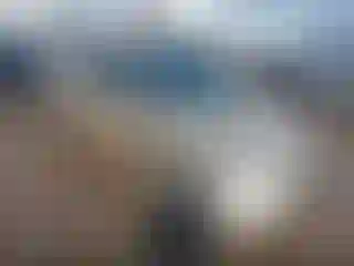 Vehicle Image- 2011 Toyota Prius