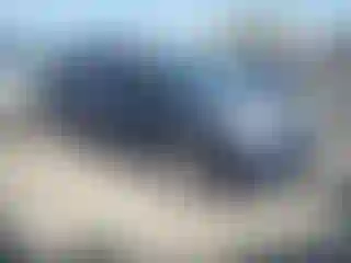 Vehicle Image- 2013 Toyota Prius