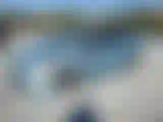 Vehicle Image- 2014 Toyota Prius