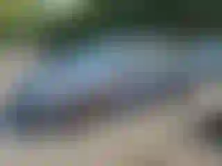 Vehicle Image- 2015 Toyota Prius