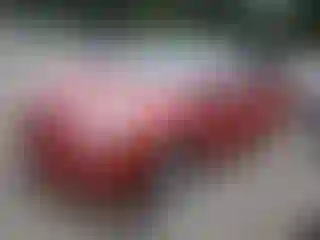 Vehicle Image- 2010 Toyota Prius