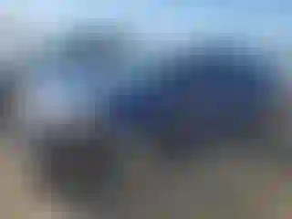 Vehicle Image- 2010 Toyota Prius