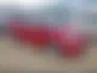 Vehicle Image- 2010 Toyota Prius