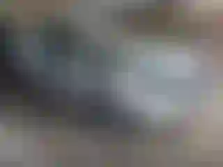 Vehicle Image- 2010 Toyota Prius