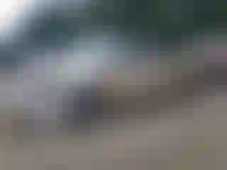 Vehicle Image- 2011 Toyota Prius