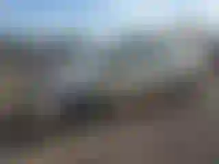 Vehicle Image- 2011 Toyota Prius