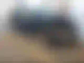 Vehicle Image- 2011 Toyota Prius