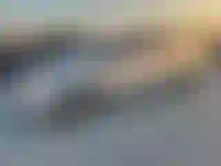 Vehicle Image- 2011 Toyota Prius