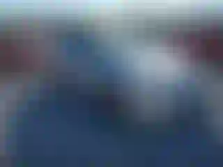 Vehicle Image- 2011 Toyota Prius