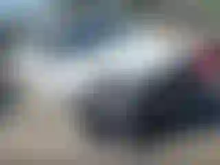 Vehicle Image- 2011 Toyota Prius